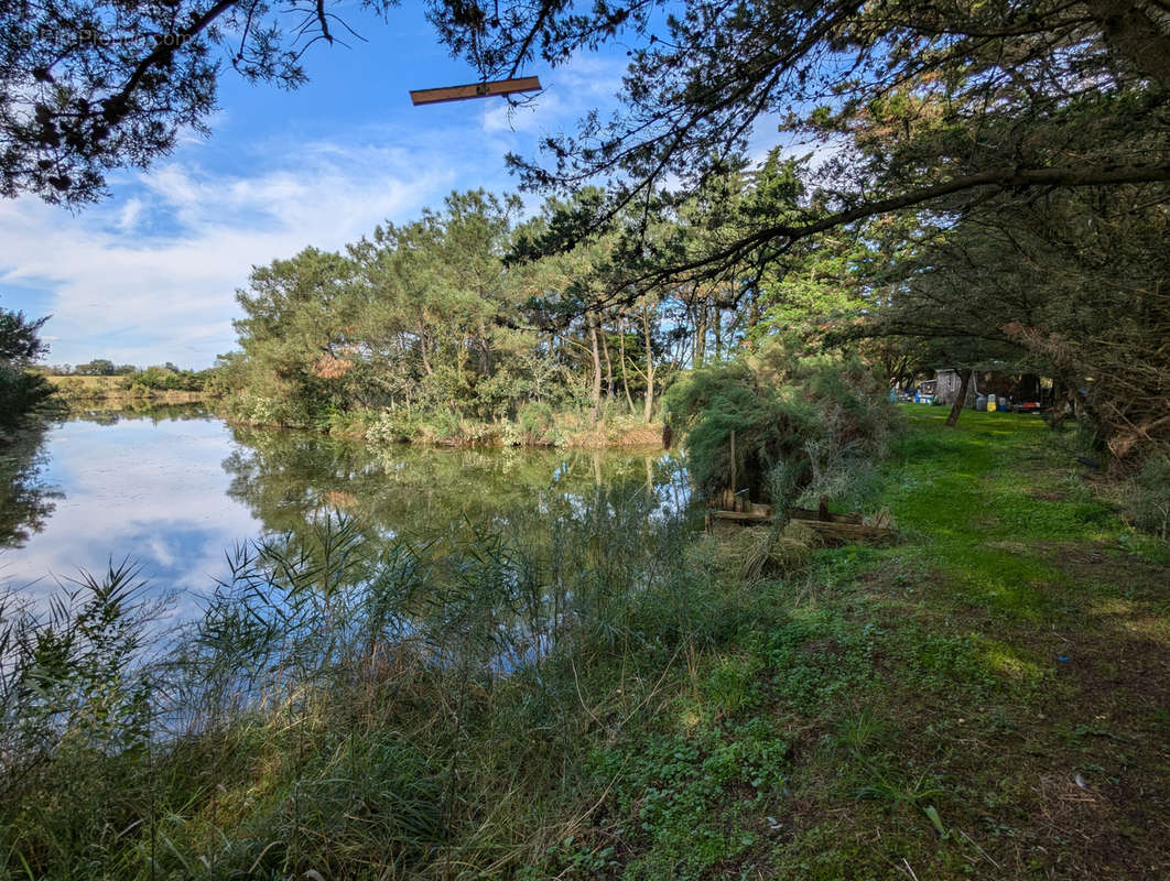 Terrain à L&#039;ILE-D&#039;OLONNE