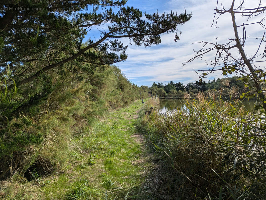 Terrain à L&#039;ILE-D&#039;OLONNE