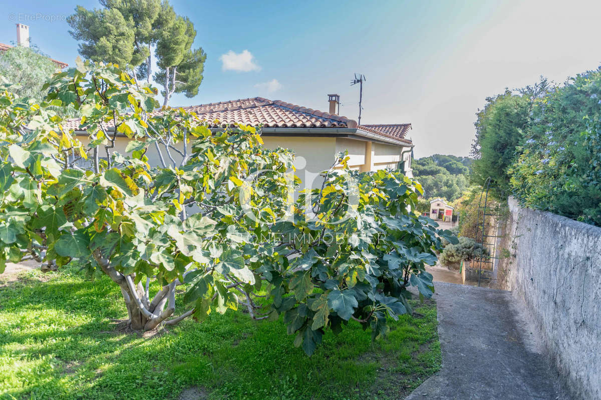 Maison à CASSIS