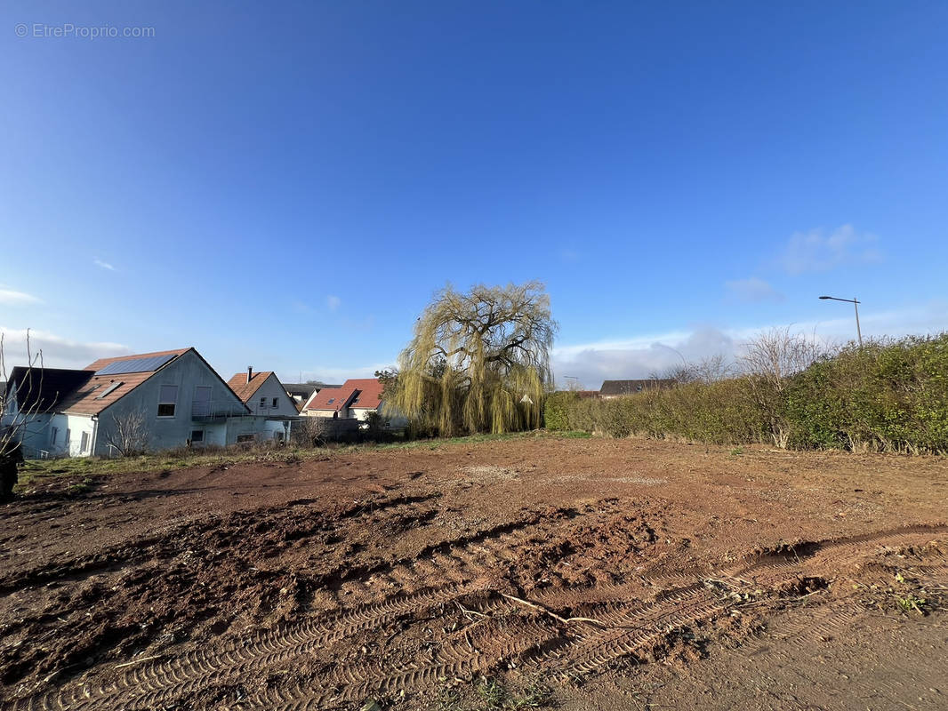 Terrain à SCHNERSHEIM