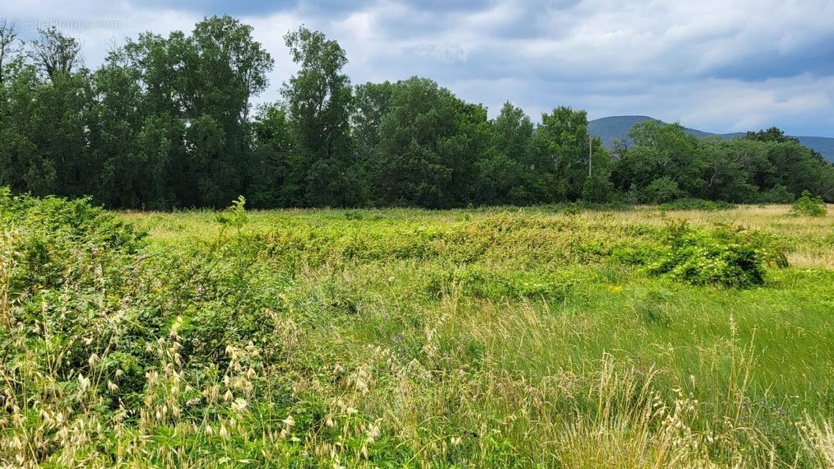 Terrain à DONZERE