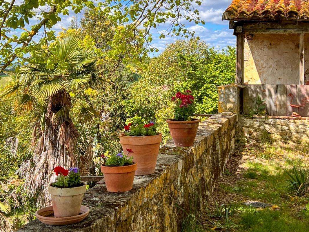 Maison à LECTOURE