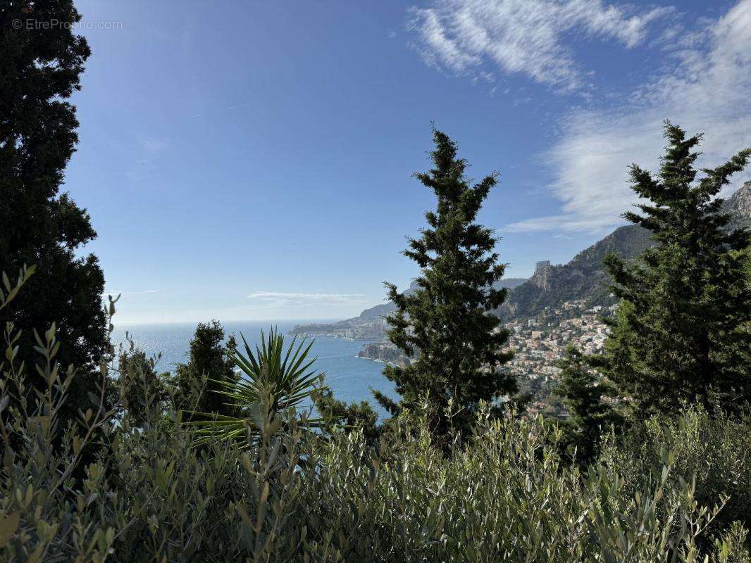 Appartement à ROQUEBRUNE-CAP-MARTIN