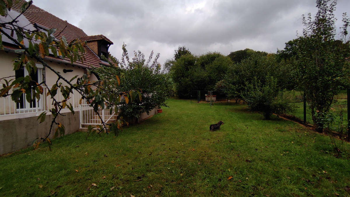 Maison à MARAYE-EN-OTHE