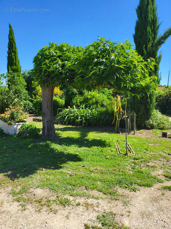 Maison à MONFLANQUIN