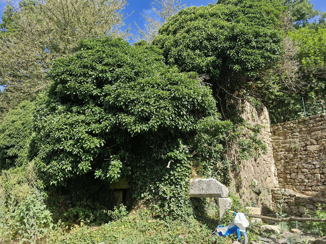 Maison à LA SALVETAT-SUR-AGOUT