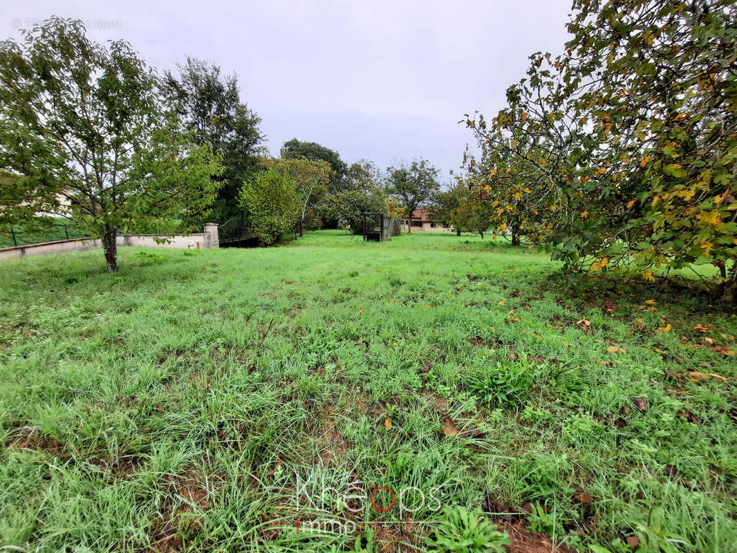 Terrain à PELLEGRUE