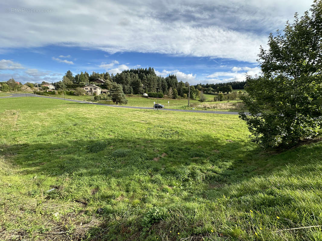 Terrain à MONTFAUCON-EN-VELAY