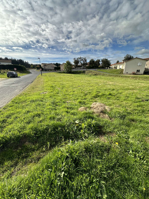 Terrain à MONTFAUCON-EN-VELAY