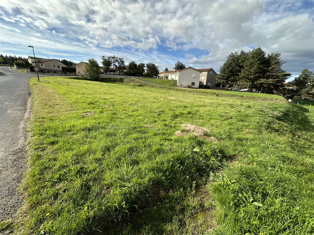 Terrain à MONTFAUCON-EN-VELAY