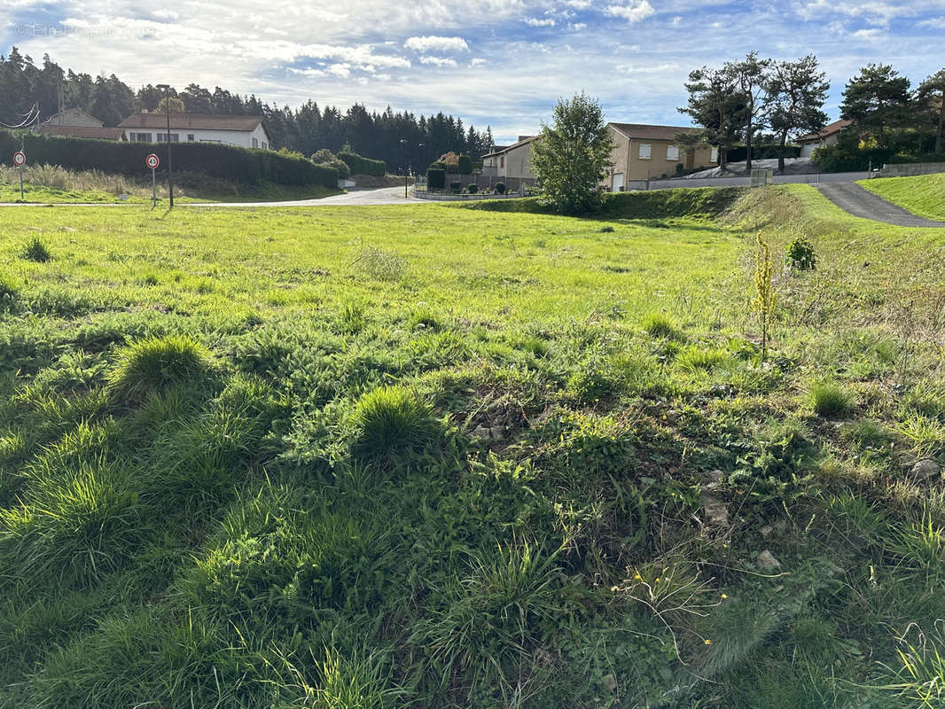 Terrain à MONTFAUCON-EN-VELAY