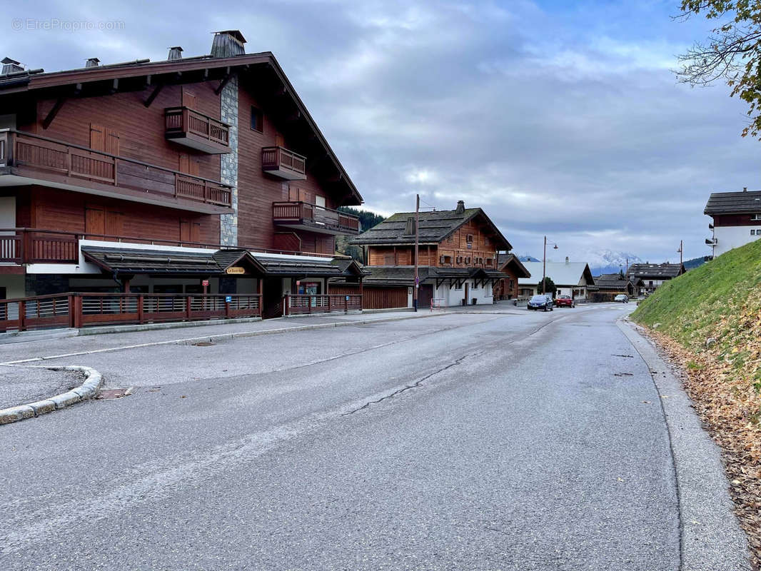 Commerce à LE GRAND-BORNAND