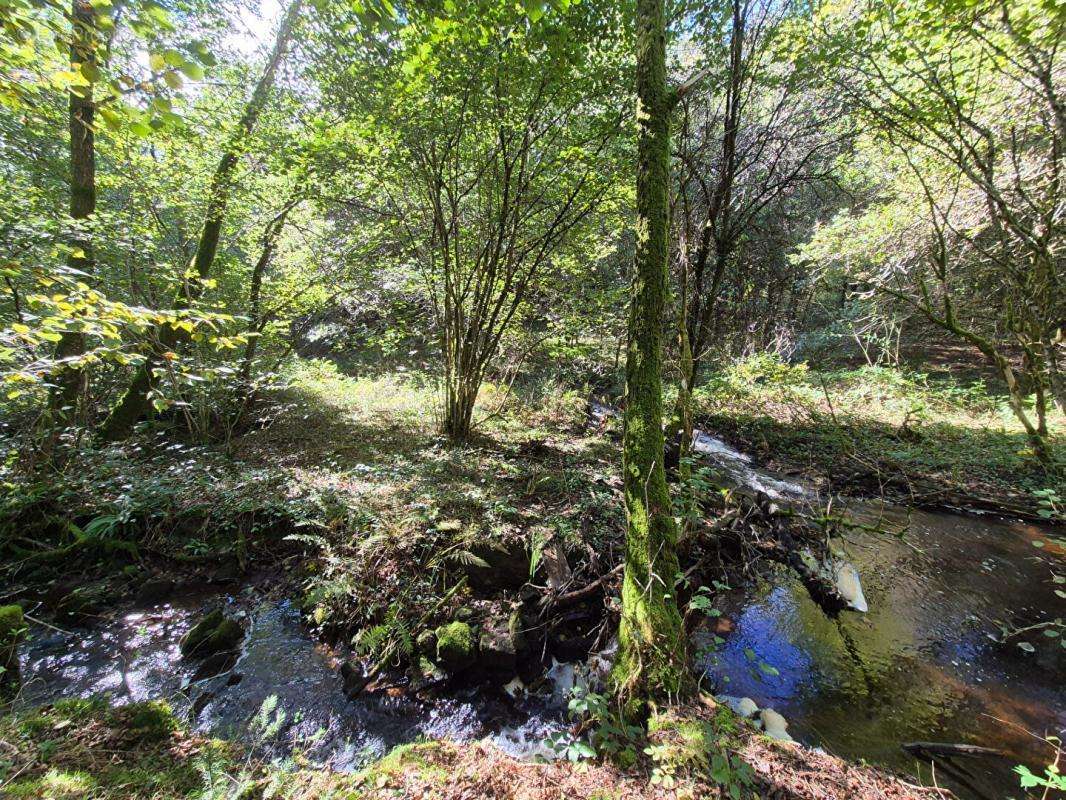 Terrain à CLERGOUX