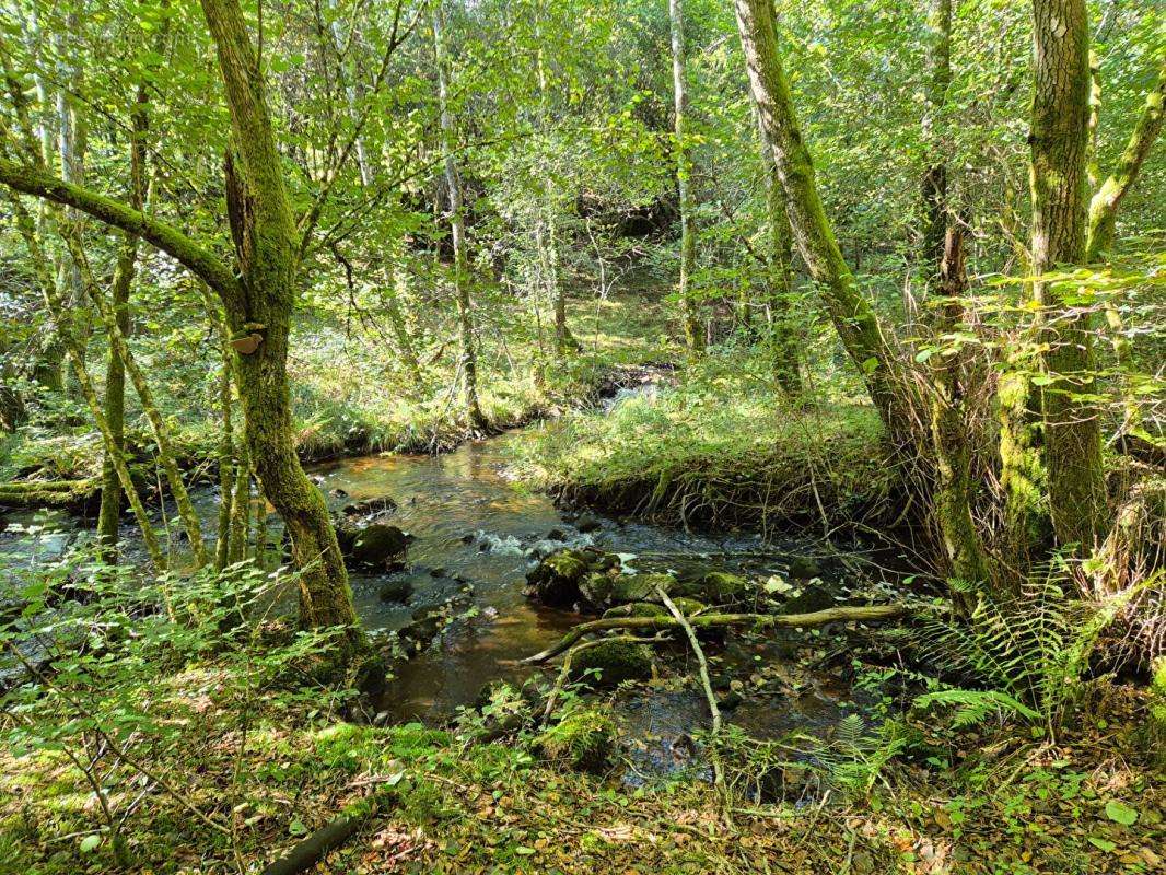 Terrain à CLERGOUX