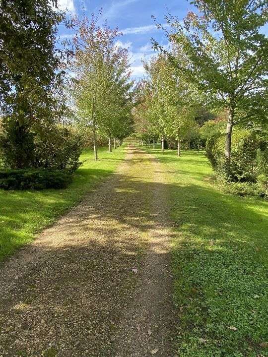 #maison #pierres #ferme #dépendance #terrain #gers #gîtes - Maison à CAZAUBON