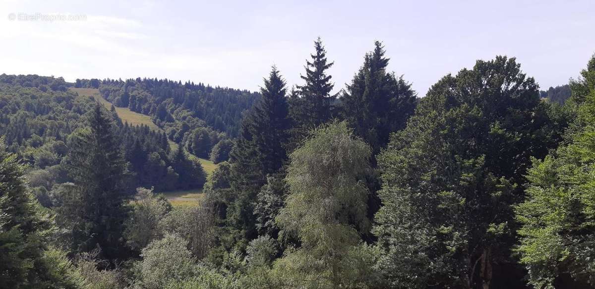 Appartement à LAGUIOLE