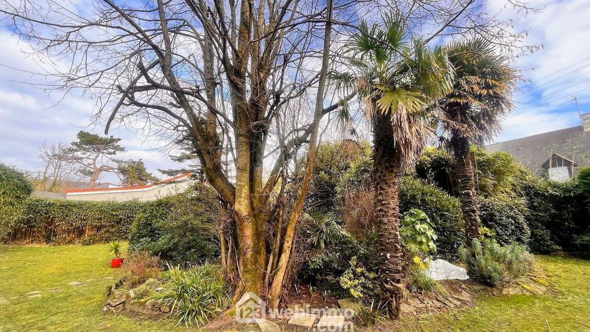 Jardin planté et ombragé - Maison à DENNEVILLE