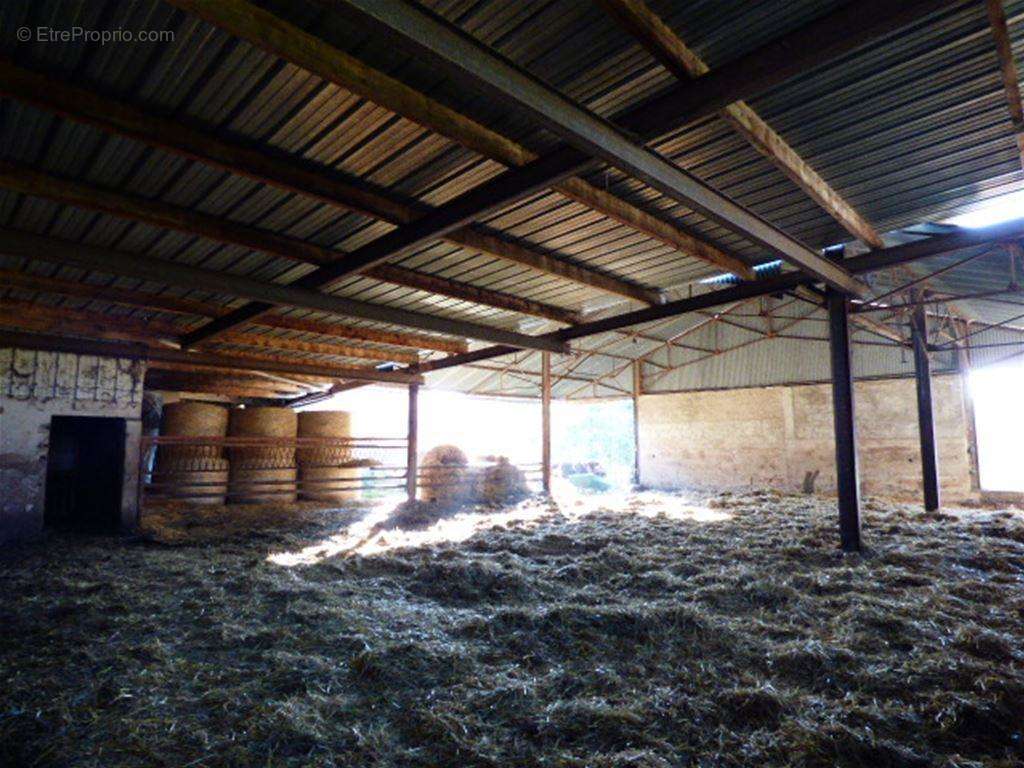 Un hangar agricole - Maison à VILLOTTE-DEVANT-LOUPPY