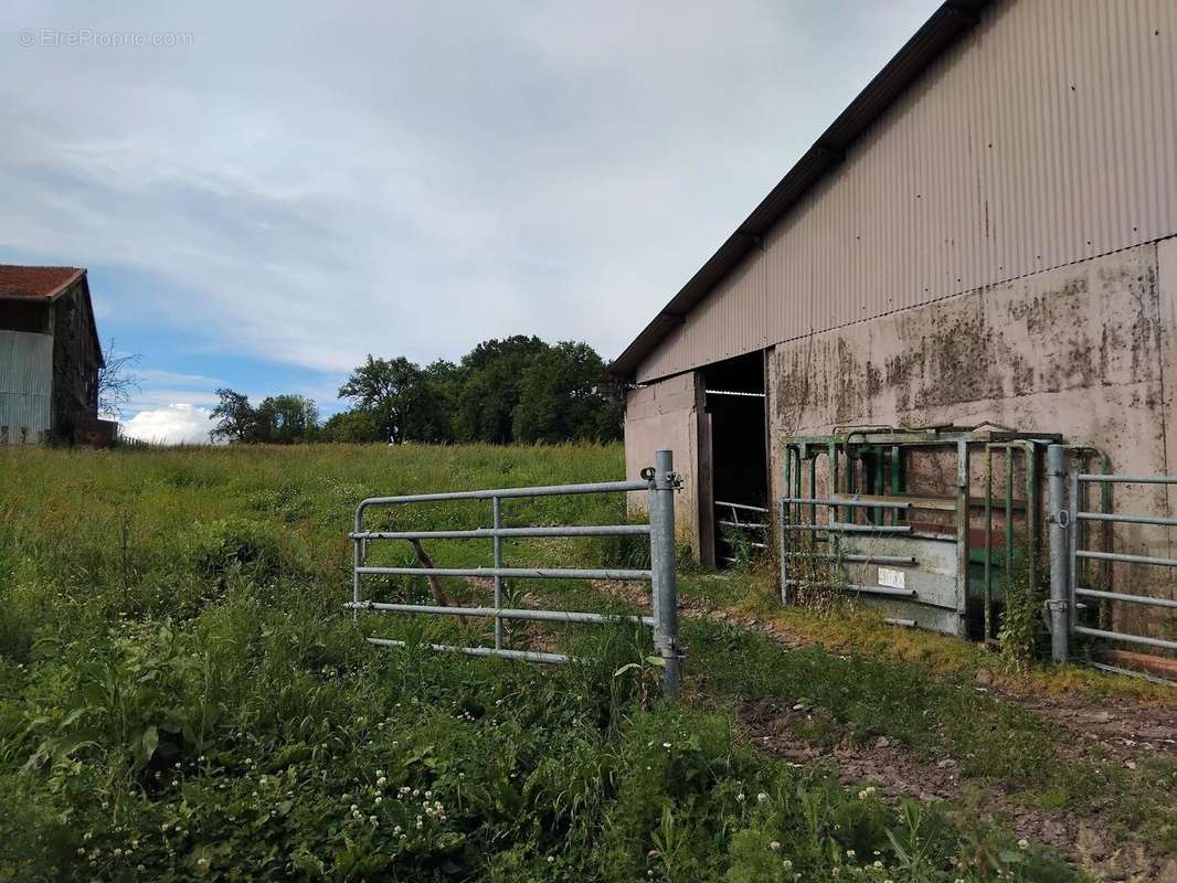 Une sortie du hangar sur la prairie - Maison à VILLOTTE-DEVANT-LOUPPY