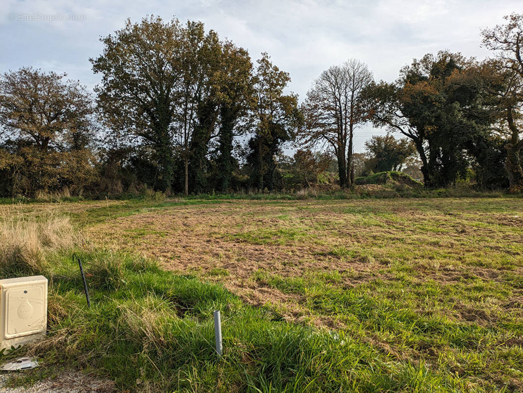 Terrain à MARZAN