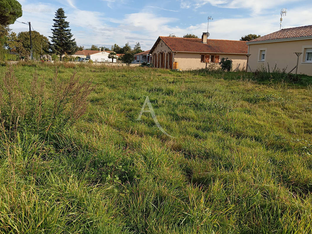 Terrain à TALMONT-SAINT-HILAIRE