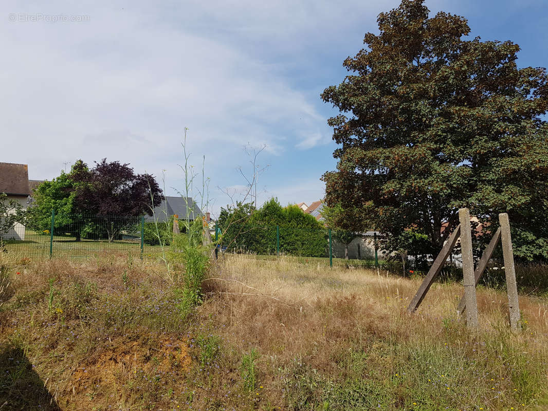 Maison à PARIGNE-L&#039;EVEQUE