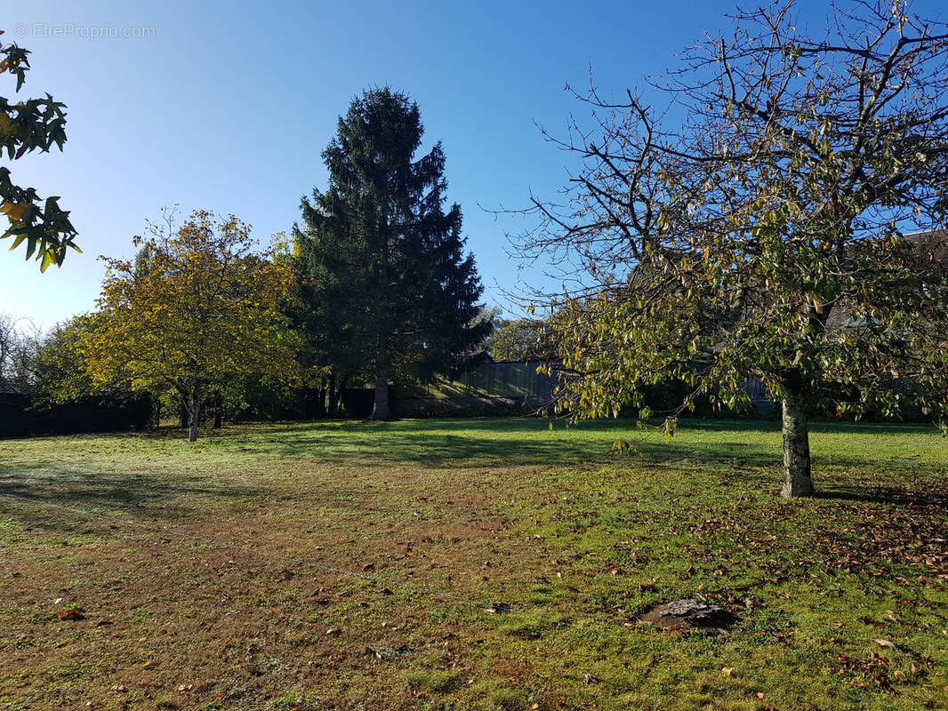 Terrain à PARIGNE-L&#039;EVEQUE