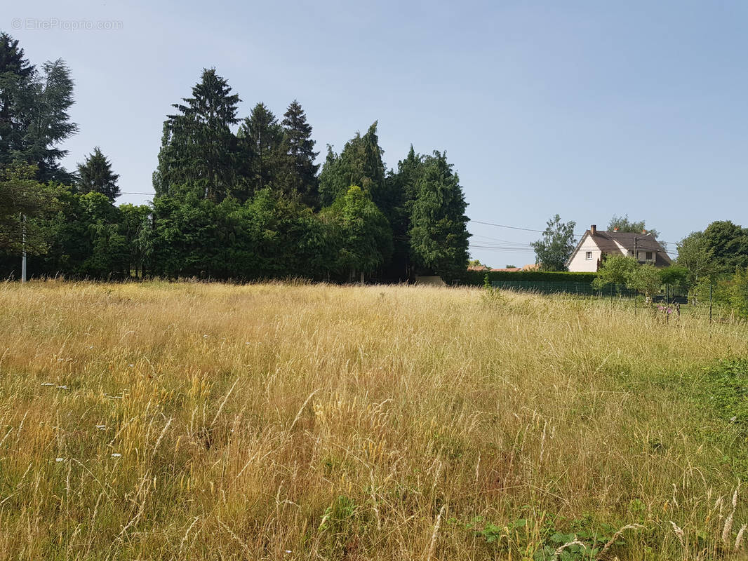 Terrain à SAINT-MARS-D&#039;OUTILLE