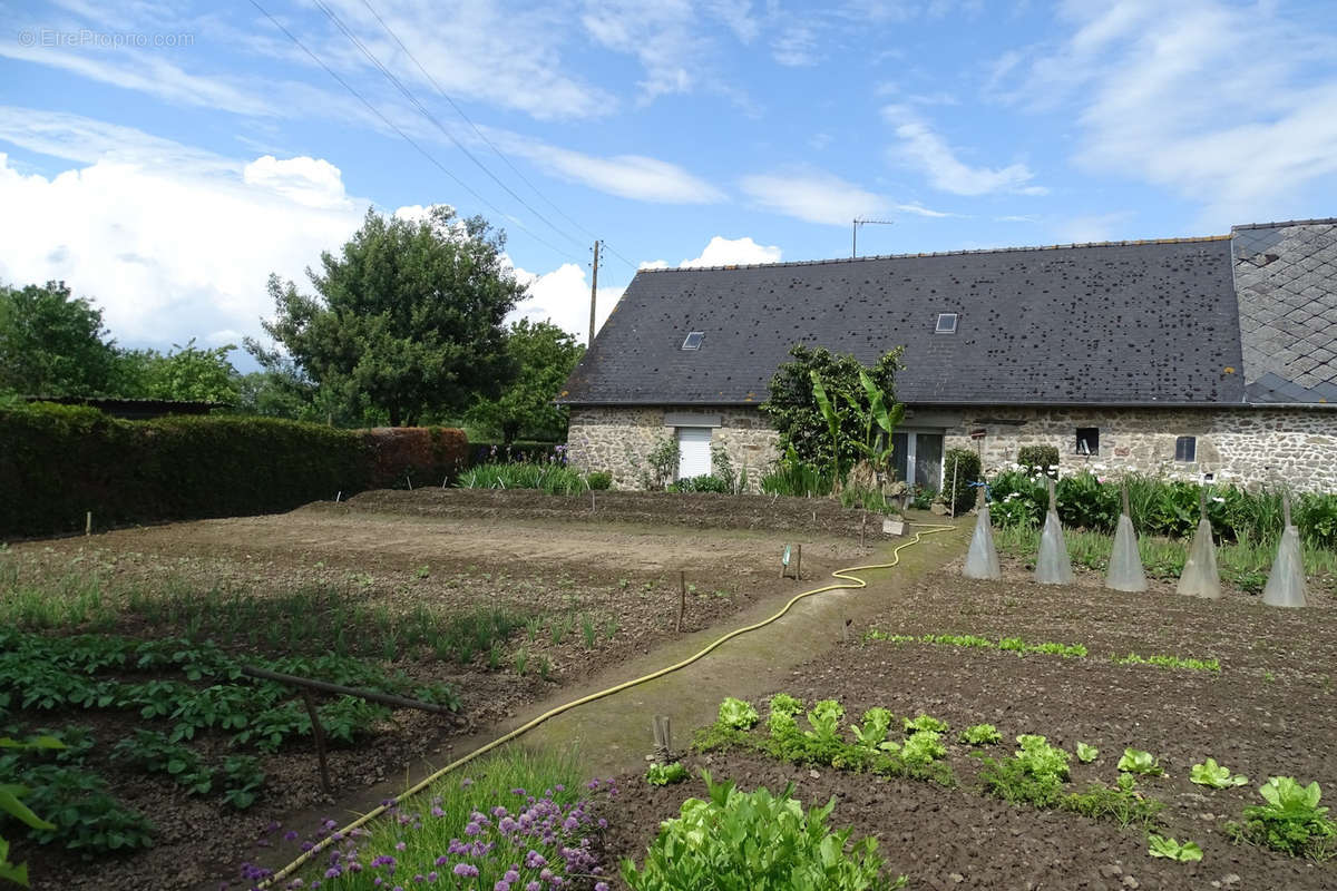 Maison à MARTIGNE-SUR-MAYENNE