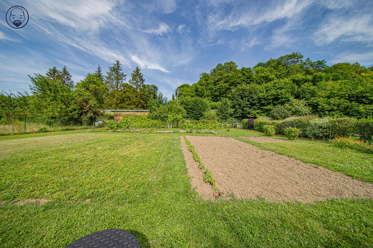 Terrain à SAINT-MIHIEL