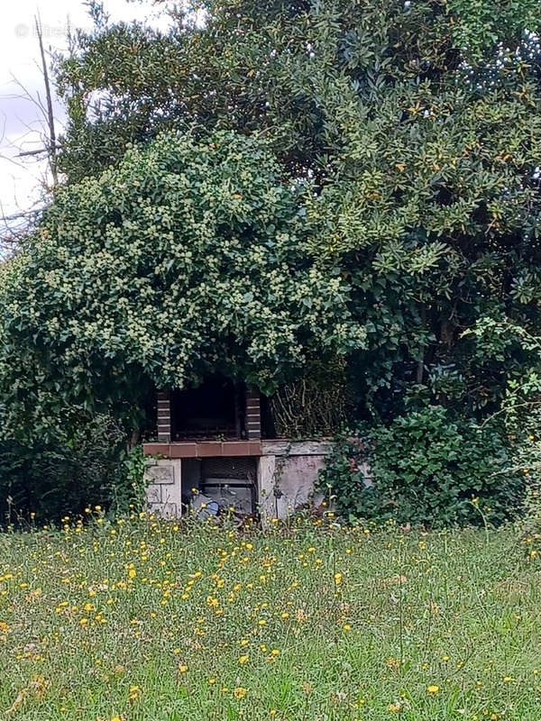 Maison à BRANSLES