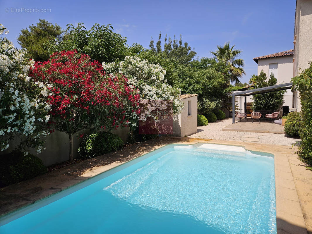 Maison à VENDARGUES