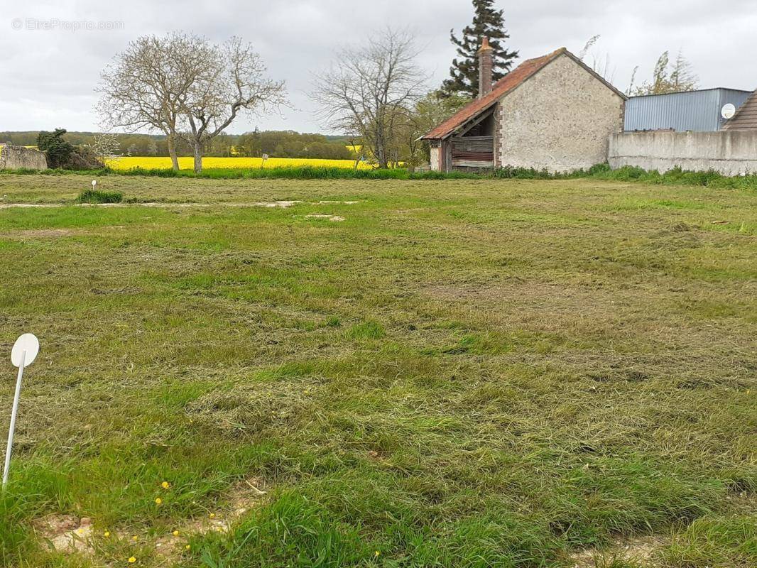 Terrain à CHATEAUNEUF-EN-THYMERAIS