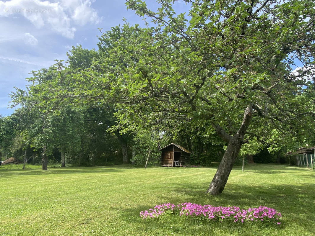 Maison à CADAUJAC