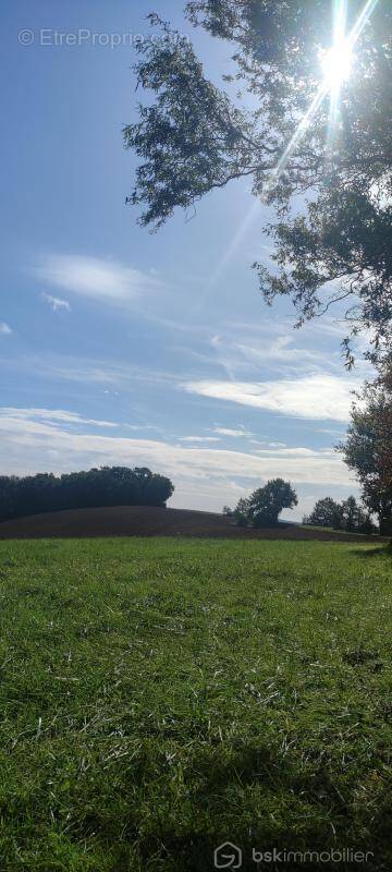 Terrain à SALVAGNAC