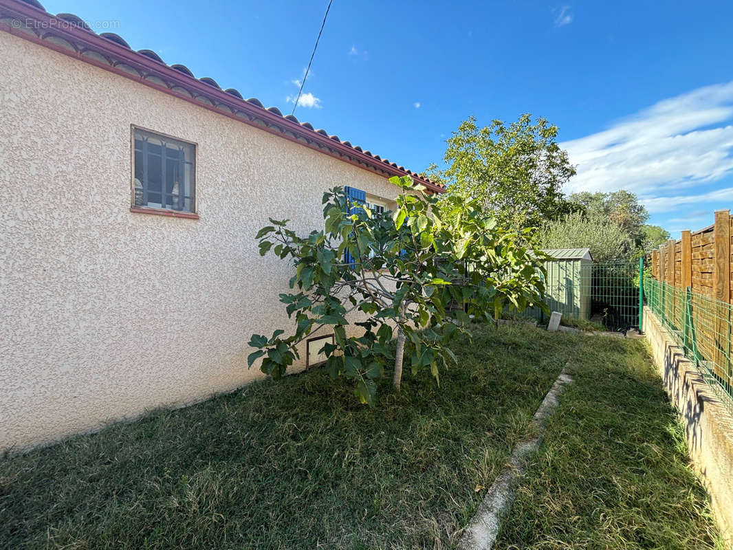 Maison à MONTESQUIEU-DES-ALBERES