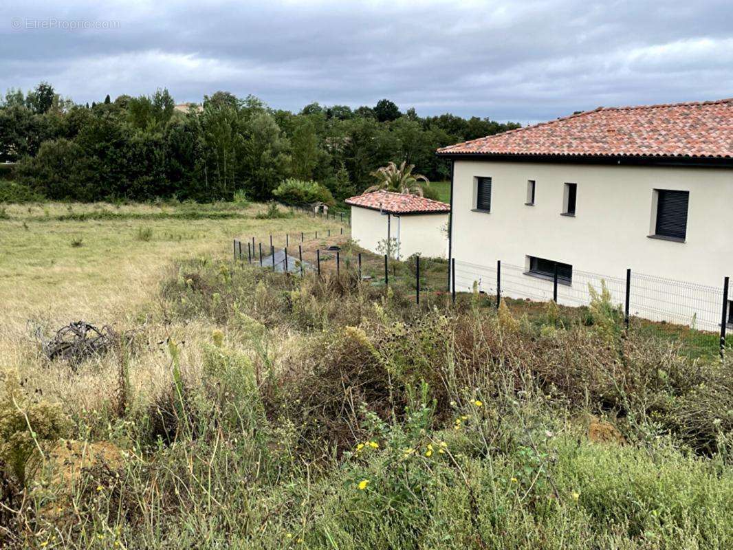 Terrain à MONTAUBAN