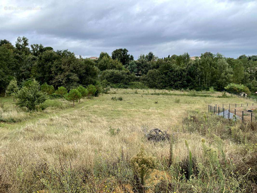 Terrain à MONTAUBAN