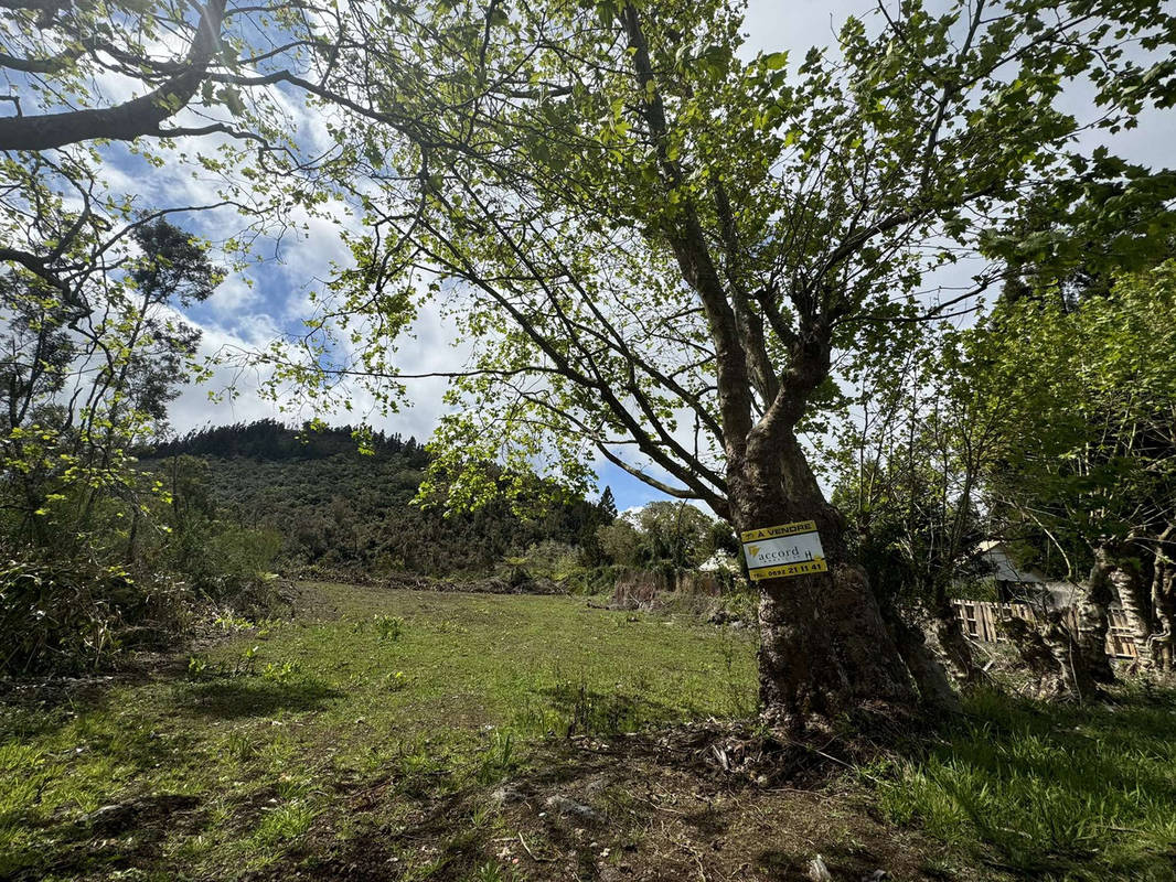 Terrain à SAINT-PIERRE