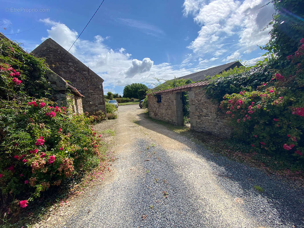 Maison à PLOUZEVEDE