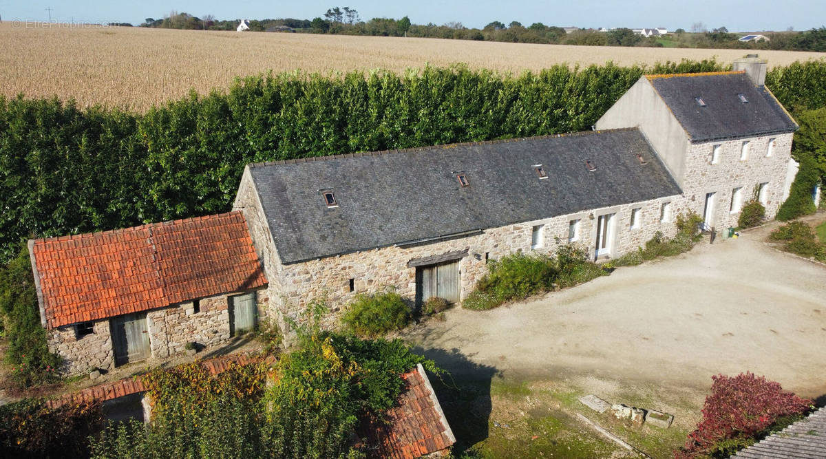 Maison à PLOUZEVEDE