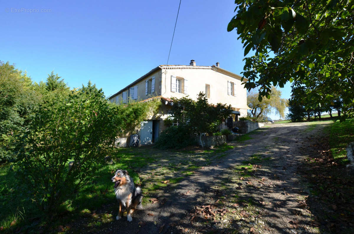 04 - Maison cote - House side - Maison à ROQUEPINE