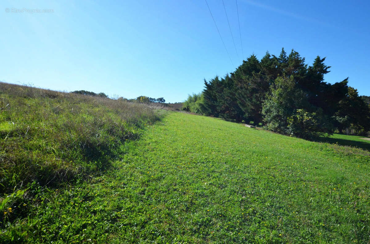 07 - Parc et terrain - Grounds and land - Maison à ROQUEPINE