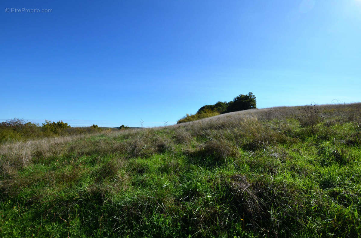 08 - Terrain - Land - Maison à ROQUEPINE