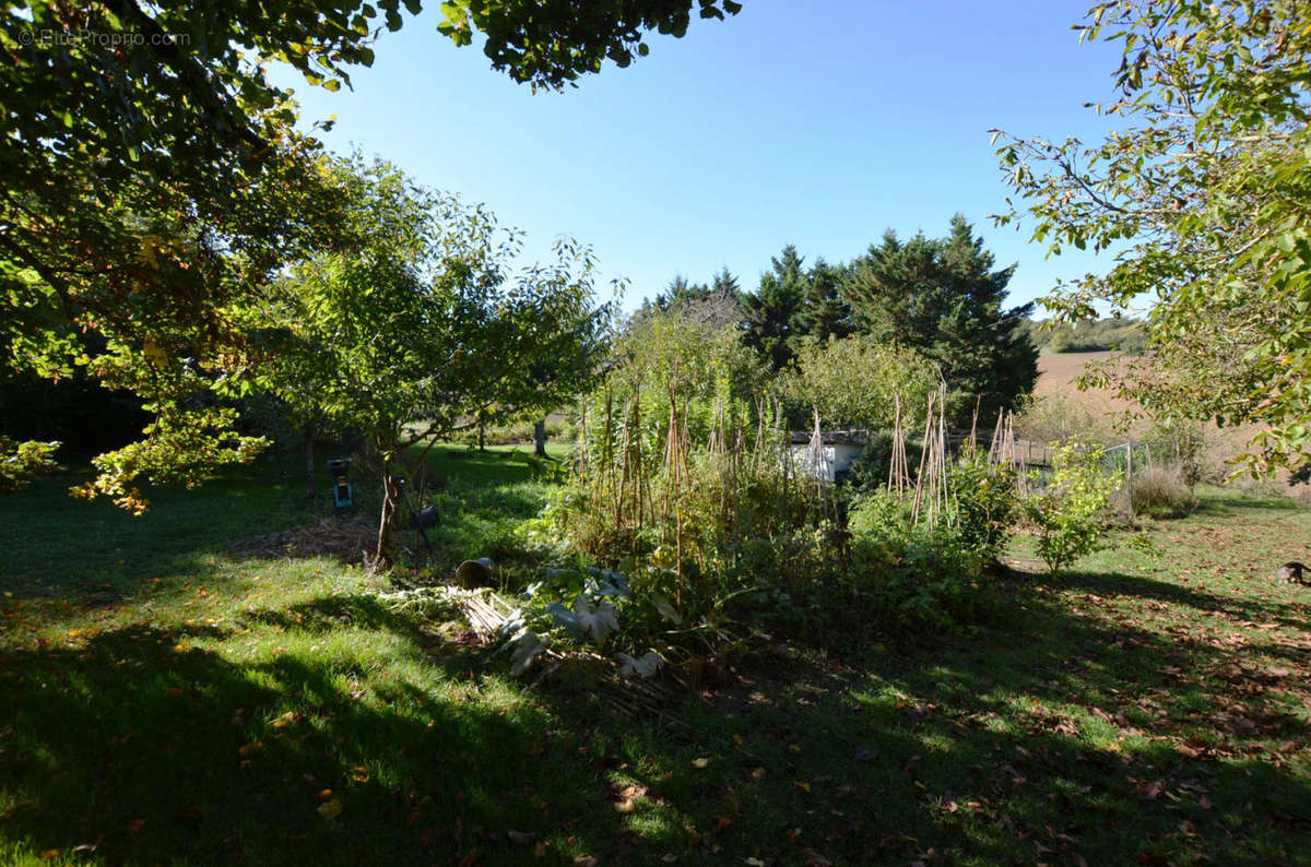 09 - Parc - Grounds - Maison à ROQUEPINE