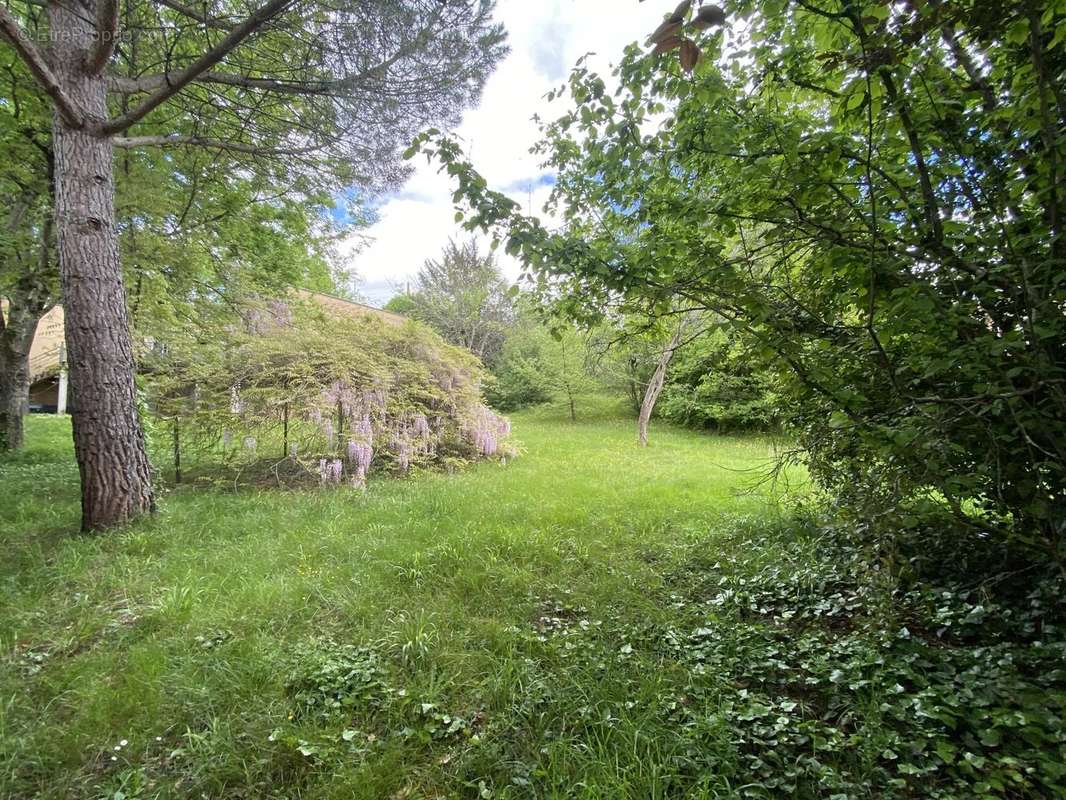 Terrain à MONTAUBAN