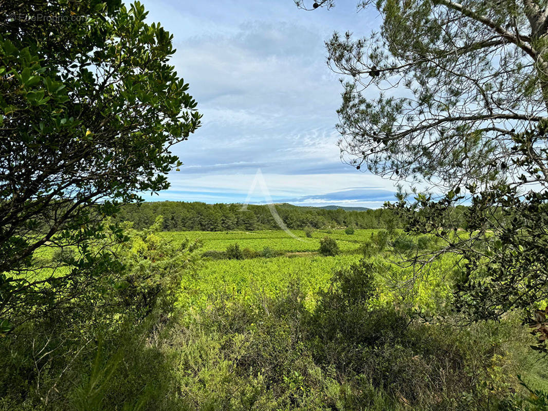 Terrain à SAINT-DREZERY