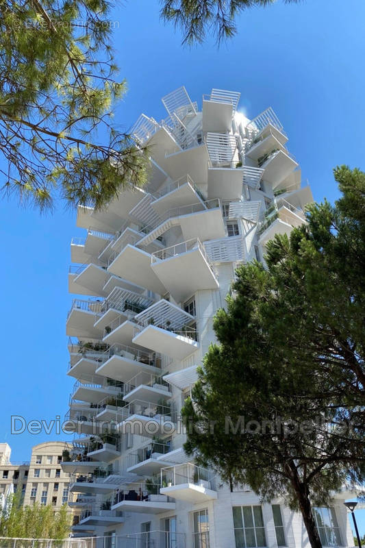 Appartement à MONTPELLIER