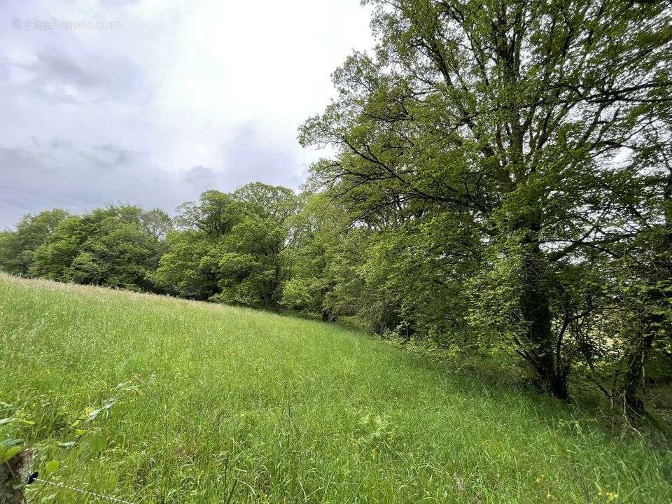 Terrain à SOUDAINE-LAVINADIERE