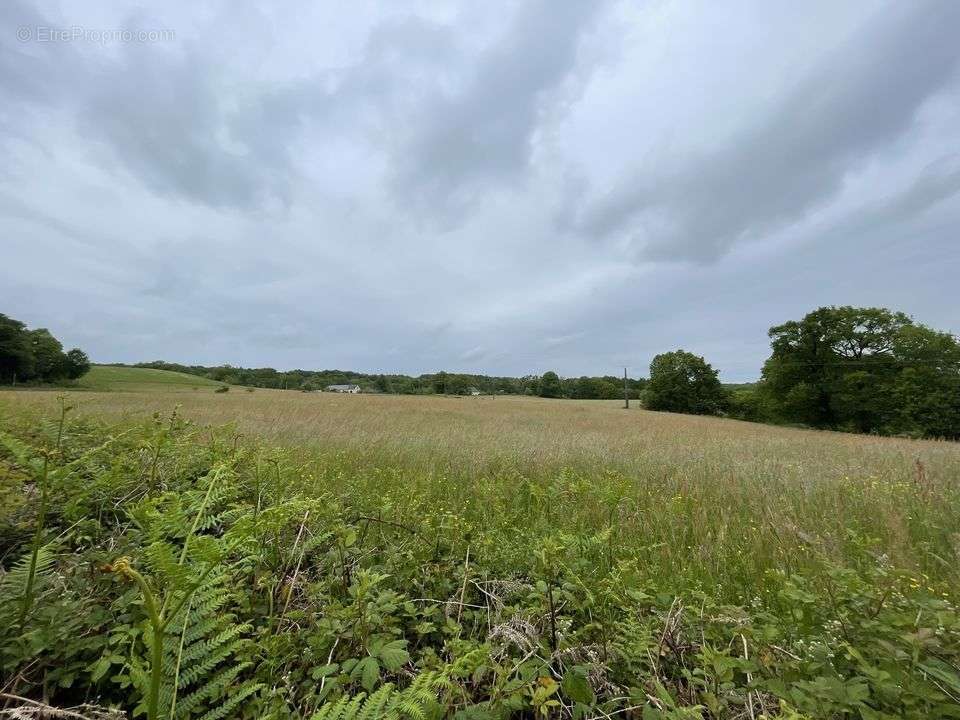 Terrain à SOUDAINE-LAVINADIERE